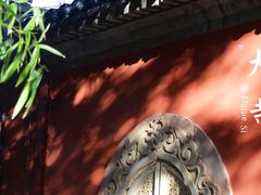 -大觉寺-停车场