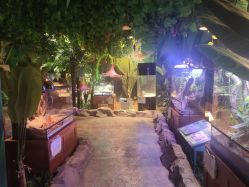 -酷嗒动物文化乐园(cutezoo西溪乐天城店)