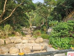 -梧桐山风景名胜区