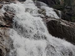-海南霸王岭国家森林公园
