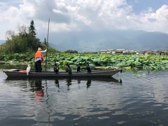 -大理洱源西湖景区