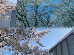 -龙美术馆(西岸馆)
