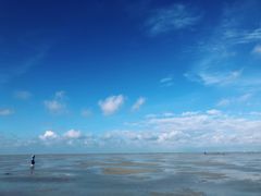 -北海金海湾红树林生态旅游区