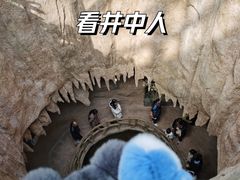-南山植物园