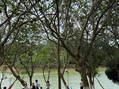 -凤岗南门山森林公园