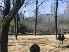 -杭州野生动物世界