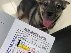 -申普宠物医院·心脏介入·心血管微创(总院)