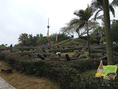-胡里山炮台
