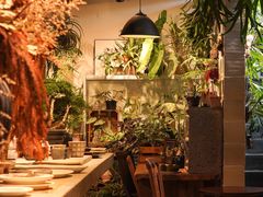 -自由生长植物工作室(深港花卉中心店)