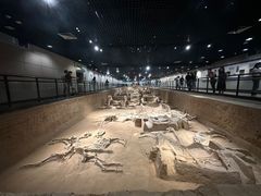 -洛阳周王城天子驾六博物馆