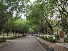 -滴水岩森林公园