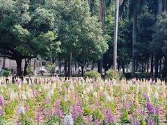 -华南师范大学(广州大学城校区)