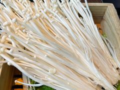 金针菇-大隐·成都火锅Bistro(合生麒麟新天地店)