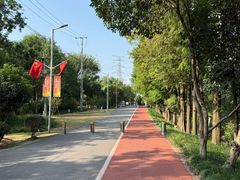 -上海长兴岛郊野公园