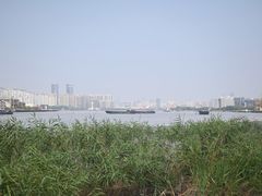 -上海山野camping·户外天幕烧烤·团建拓展营地