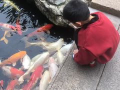 -聚福宝合苑食府(南头镇店)