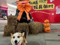 -SM城市广场(扬州店)