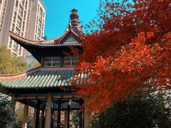 -长沙市青少年宫
