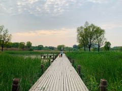 -马家湾湿地公园