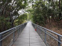 -佛山华盖山公园