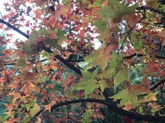 -香山公园-东宫门售票处