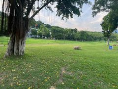-牛岗山公园