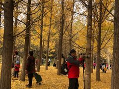 -北门涮肉·炭火铜锅涮肉(什刹海店)