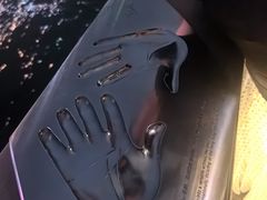 -星光大道