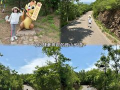 -欢乐松鼠谷