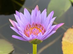 -哈密回王府景区