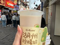 -猫的魔法密林(衣裳街店)
