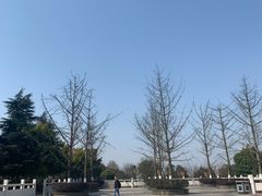 -铁山坪森林公园