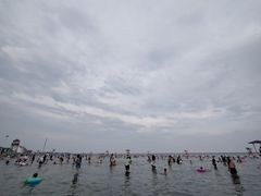 -碧海金沙