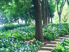 -金银湖国家城市湿地公园