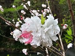 -狼山风景名胜区