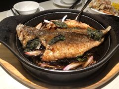 山西老醋鲈鱼-九毛九西北菜(百信广场店)