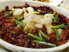沸腾龙鱼-意卡菲·欢乐聚会餐厅(华侨店)
