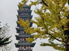 -上海方塔园