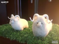 -内蒙古大厦酒店