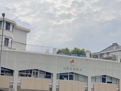 -柏萃动物医院·骨科·牙科