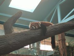 -石家庄市动物园