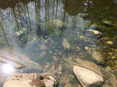 -苏州河梦清园环保主题公园