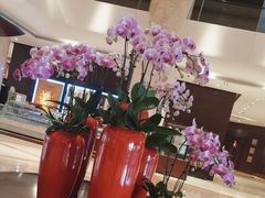 -天津滨海圣光皇冠假日酒店