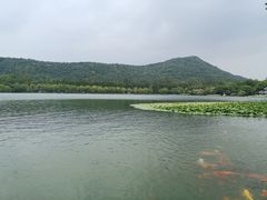 -西湖外事游船(花港观鱼码头)