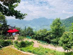 -溪口-滕头旅游景区