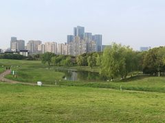 -苏州湾体育公园