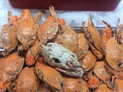 -视界美食自助餐厅·石家庄希尔顿酒店