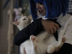 -平行世界·猫咖(首经贸店)