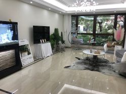 -VE专注问题肌·赛诺龙&科学美肤中心