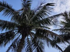 -侯臣咖啡文化村